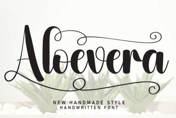 Aloevera Font: A Soothing Script for Editorial Design