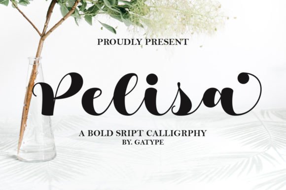 Pelisa Font: Modern Calligraphy for Web Design